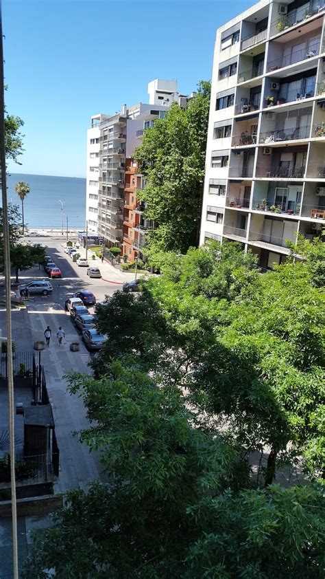 86 rentals in Montevideo. . Apartments for rent in montevideo uruguay
